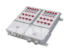 防爆電源控制箱